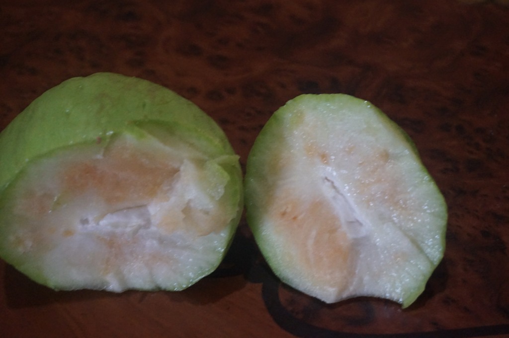 Chayote di mal calidad ta wordo importa na Aruba