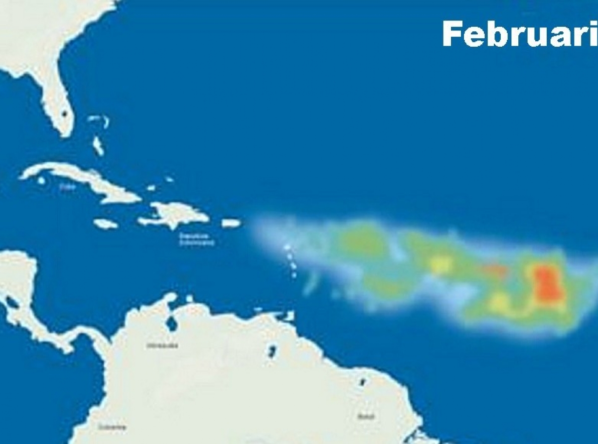 Tur cos ta mustra cu Caribe lo bay tin mucho mas dolor di cabez cu Sargassum den 2021