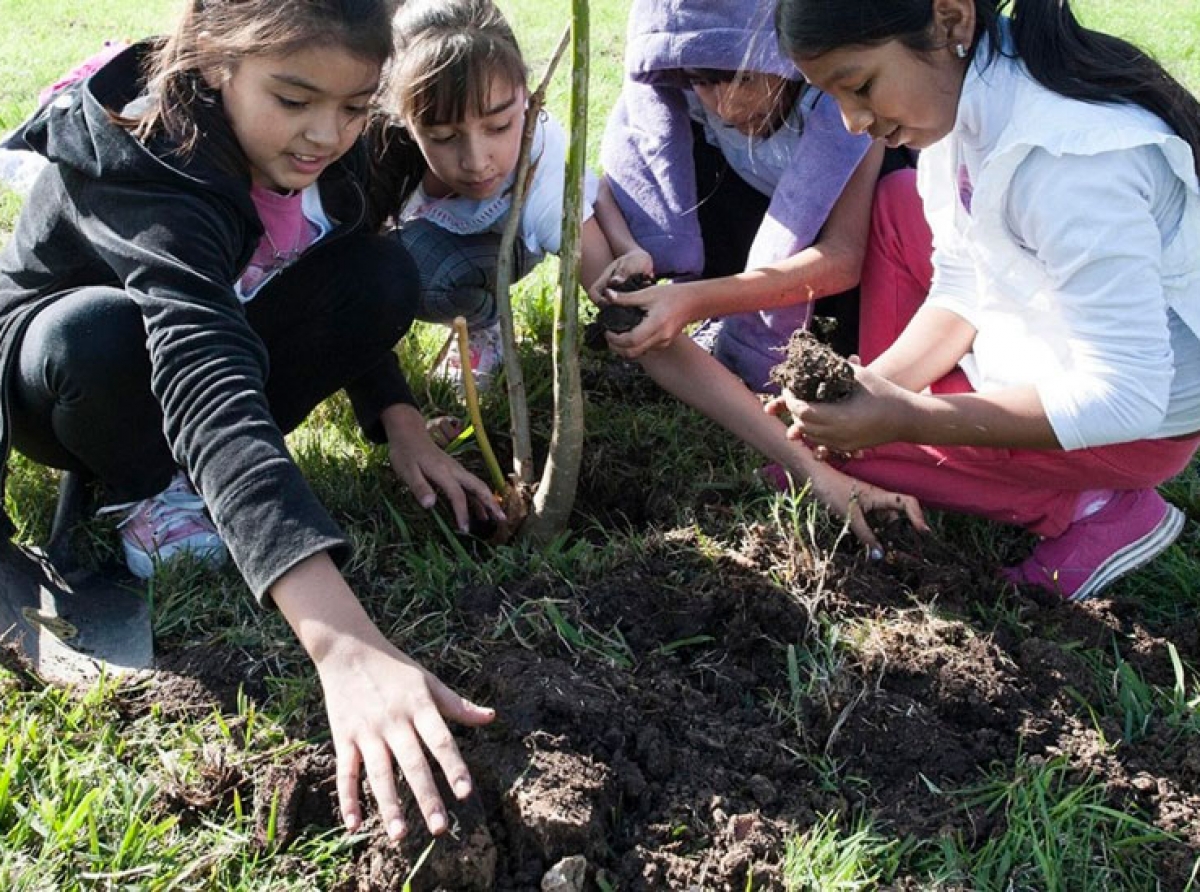 Aruba One Happy Island Lions Club ta invita comunidad pa planta un mata den cura di cas