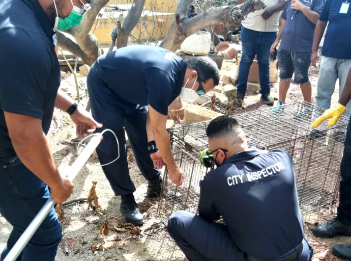 Unidad di Control di Cacho a captura 4 cacho tur abusa y mal cuida na Tanki Leendert