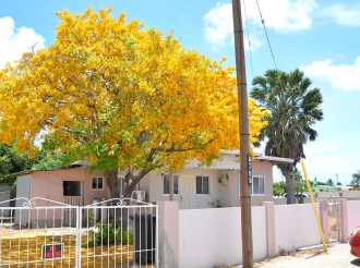 Beyeza enorme cu e bunita matanan di Kibrahacha tur na flor