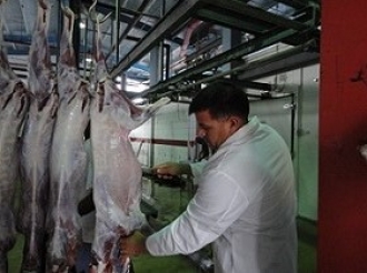 Servicio di Abattoir ta bay ta sera pa motibo di mantencion