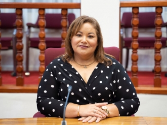 Mester intensiva seguridad riba lama