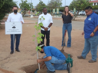 Santa Rosa mesora a braza e proyecto di CIBC di plantamento di mata na Imeldahof