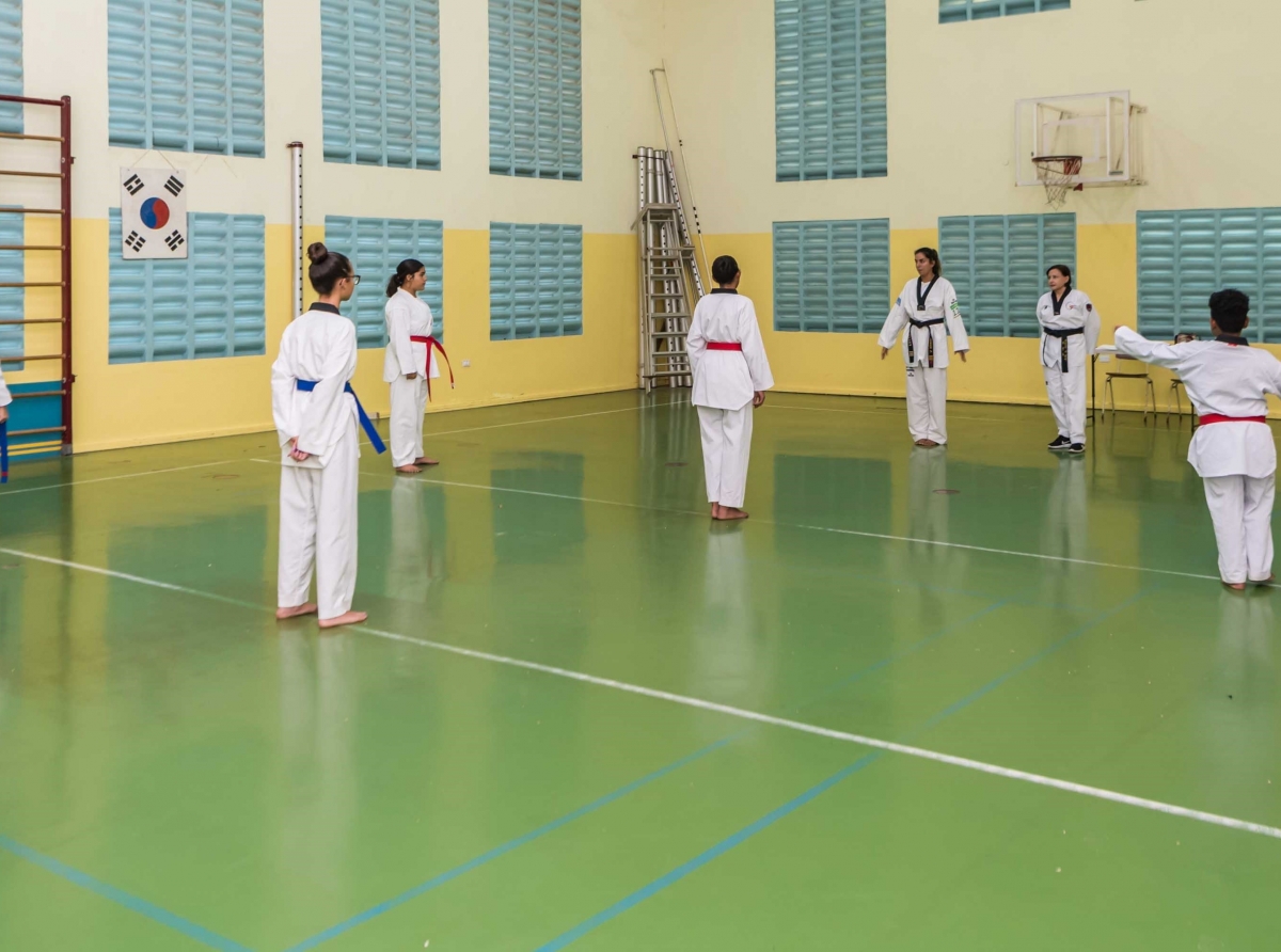 Cinco atleta di Impact Taekwondo Aruba a pasa examen 