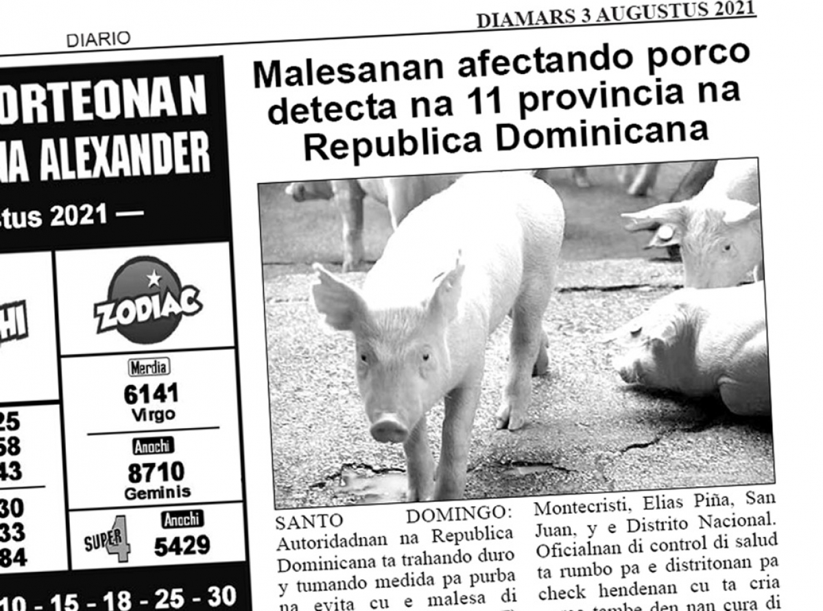 Prohibi pa trece productonan di porco di Republica Dominicana pa Aruba