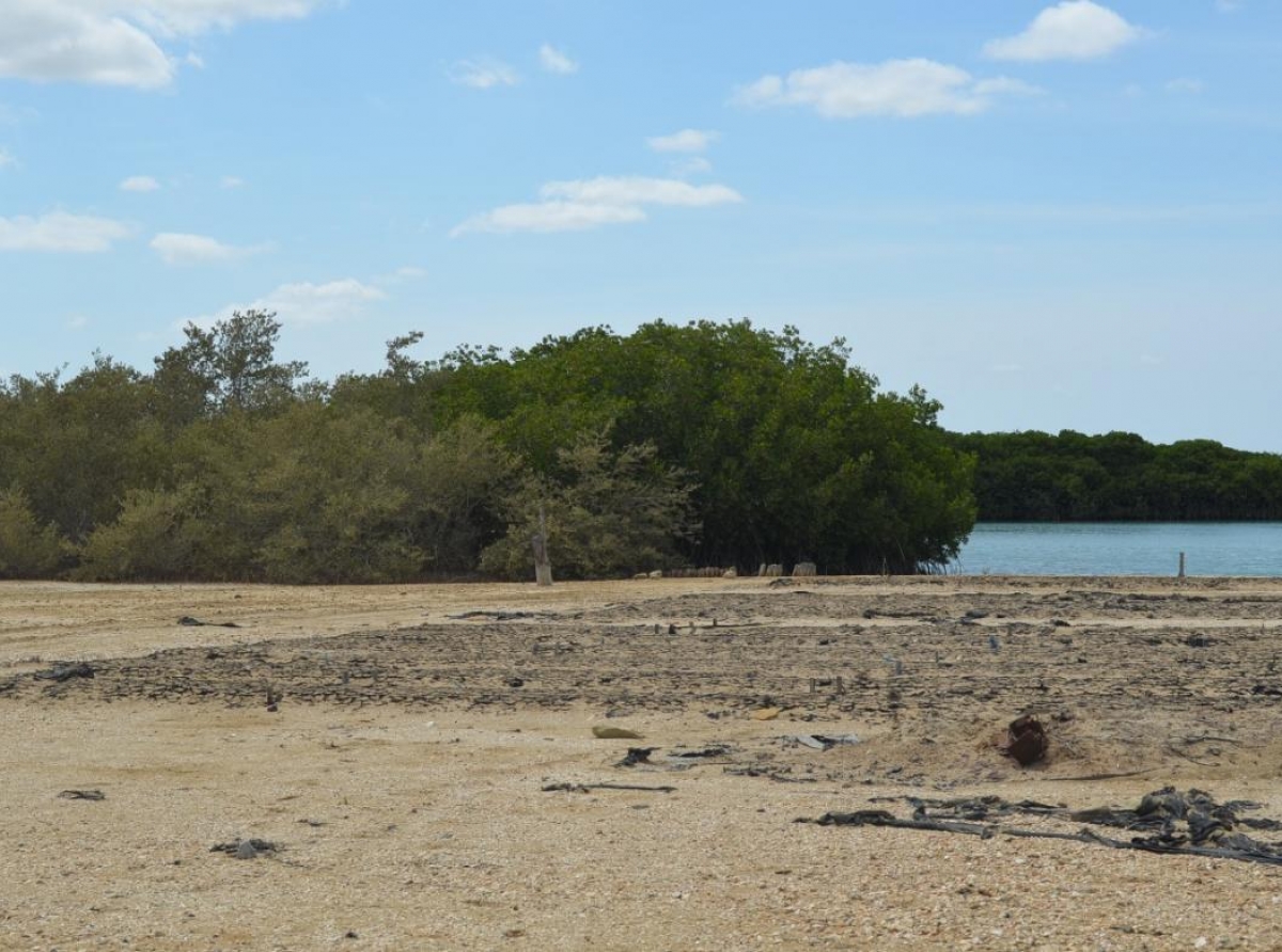 Cuatro cadaver a spula na costa di Colombia como 190 km pabao di Aruba