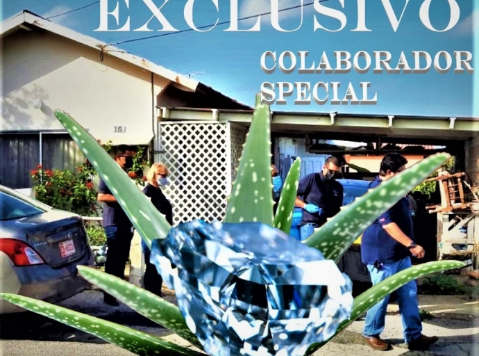 DIARIO tras di coincidencia Caso “Aloe” y Caso Diamante