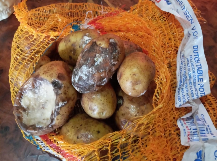 Costo di bida ta subi pero calidad di producto ta baha