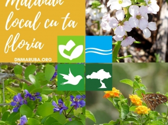 Segun nos Adultonan Mayor dia 6 di Octber ta un bon dia pa plantao