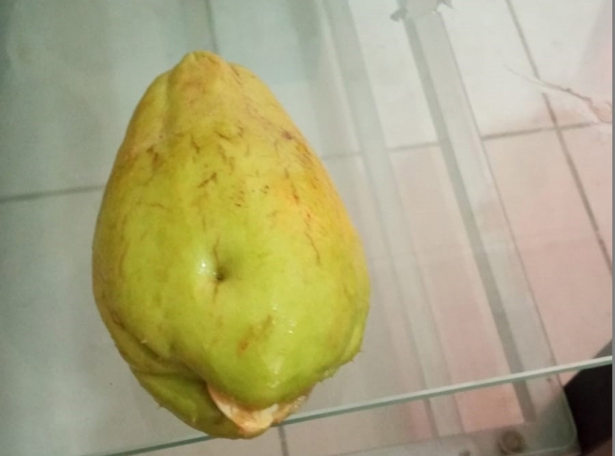 Chayote: Delicioso y cu hopi beneficio pa e organismo humano