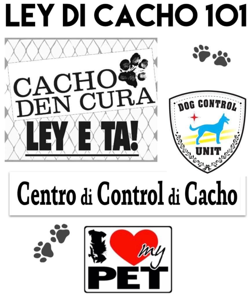 Ley di Cacho 101