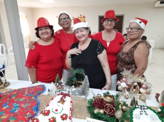 Lina Orman a desaroya un bunita proyecto di obra di man pa personanan 60 plus