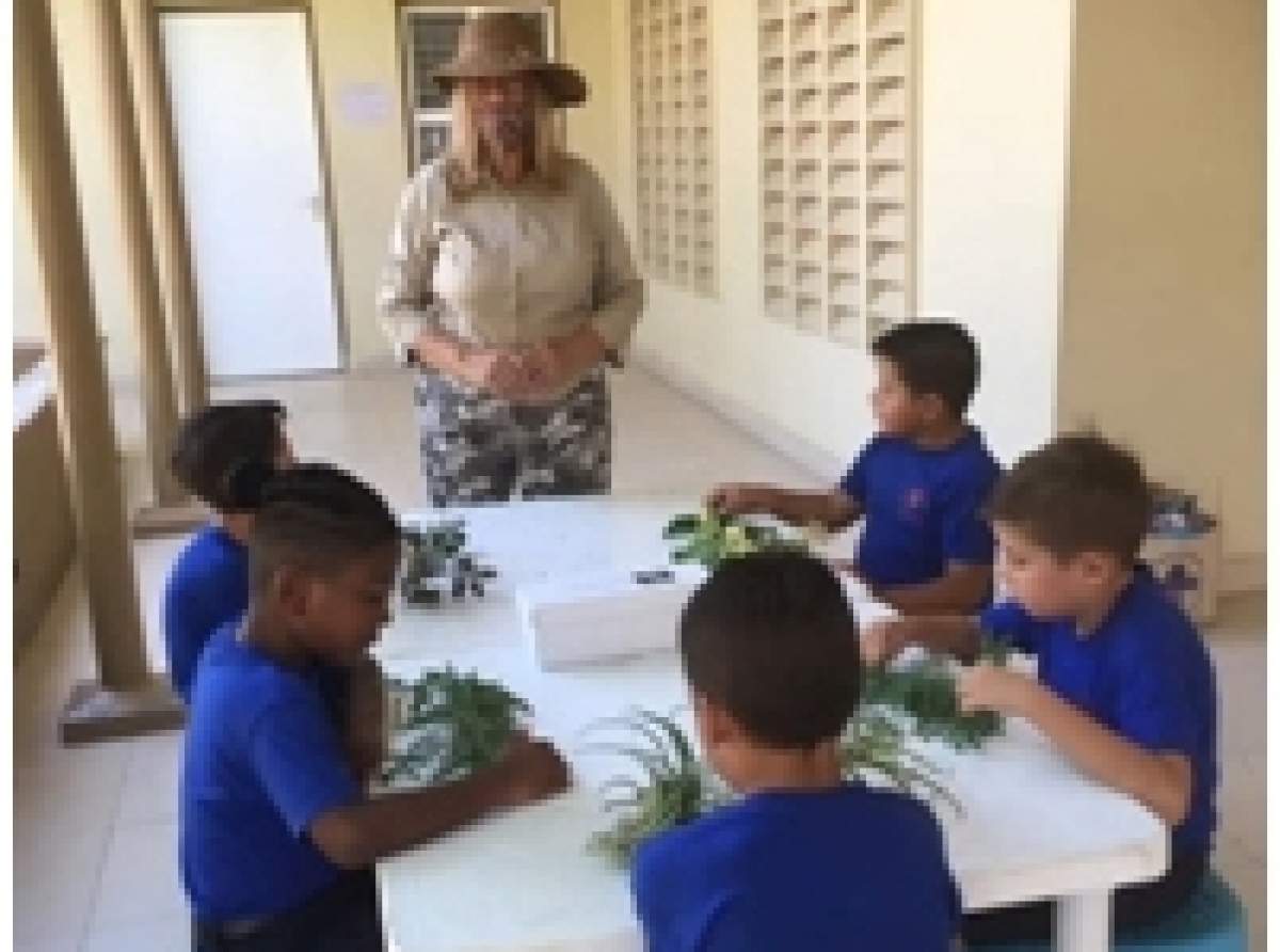 Bevers di Grupo Scout St. Paulus-Michael a ricibi nan ensiña pa proyecto 'Earth Beaver'