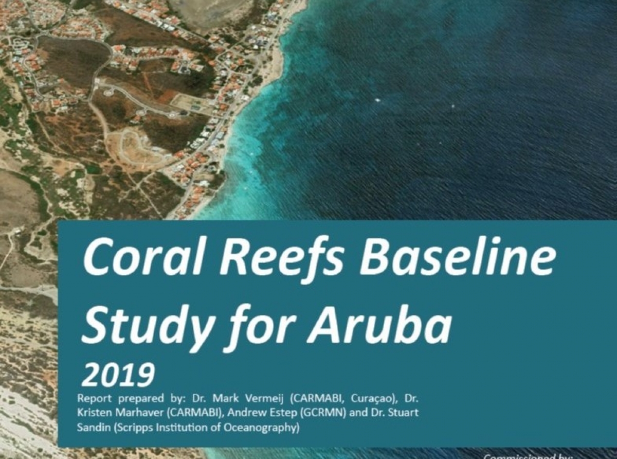 Fundacion Parke Nacional Aruba no a keda sorprendi pa e resultado di rapport CARMABI