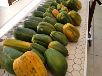 Awa pa e sector agricola pa yuda productornan local