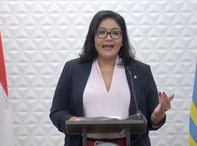 Minister di Finanzas a papia na Hulanda riba un Begrotingskamer pa Aruba