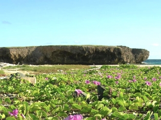 Hues a subi castigo pa guiador di turista cu a causa cu turista a hoga