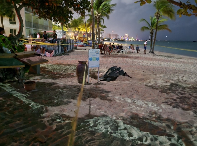 Riba Bierna Santo un Driekiel a subi beach cerca di Hadicurari