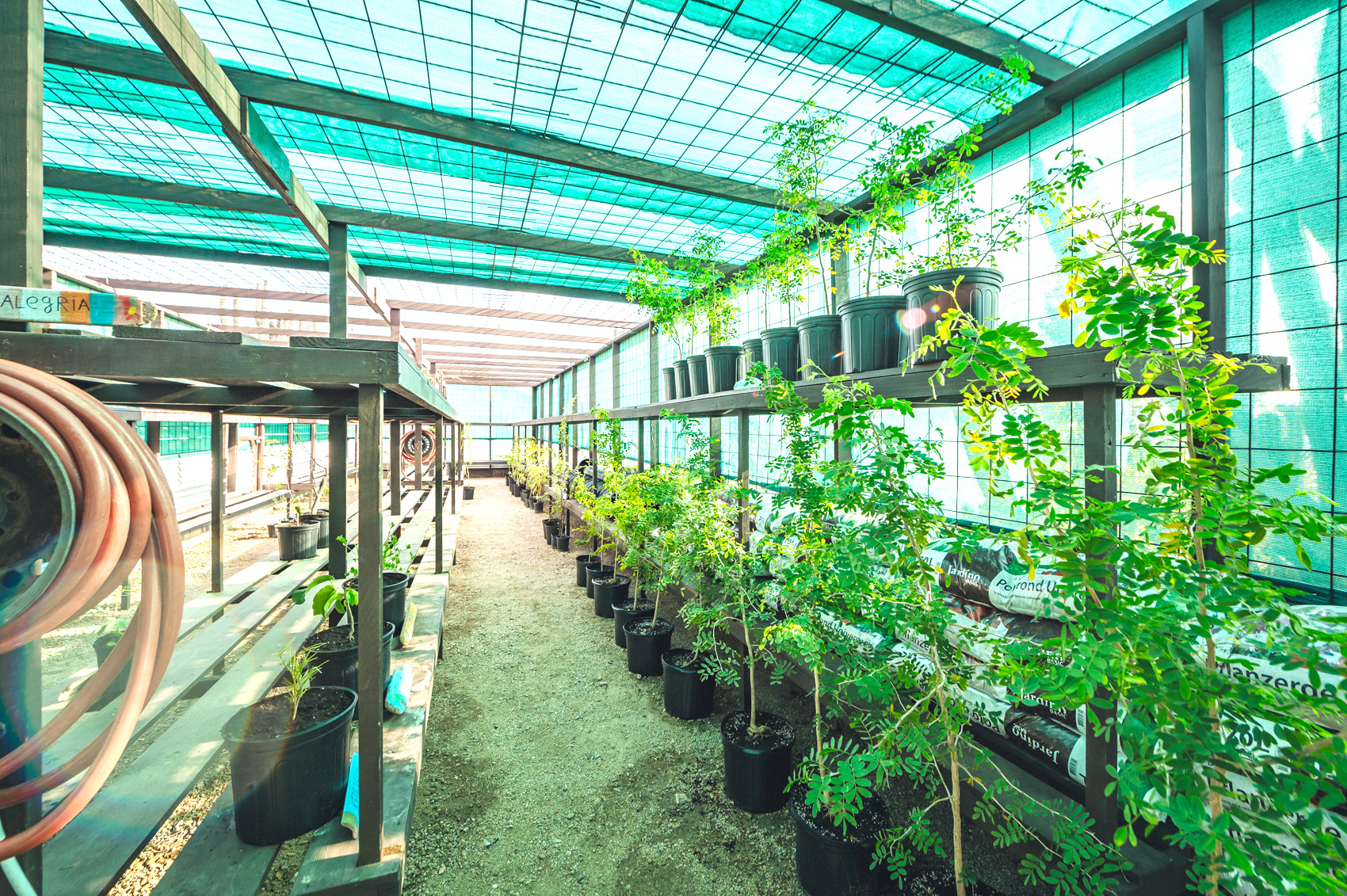 Parke Nacional Aruba a inaugura su Centro di Cultivo riba Dia di Mama Tera