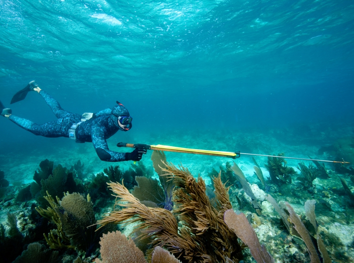 Maneho nobo di spearfishing lo bay na vigor entrante 1 di augustus 2022