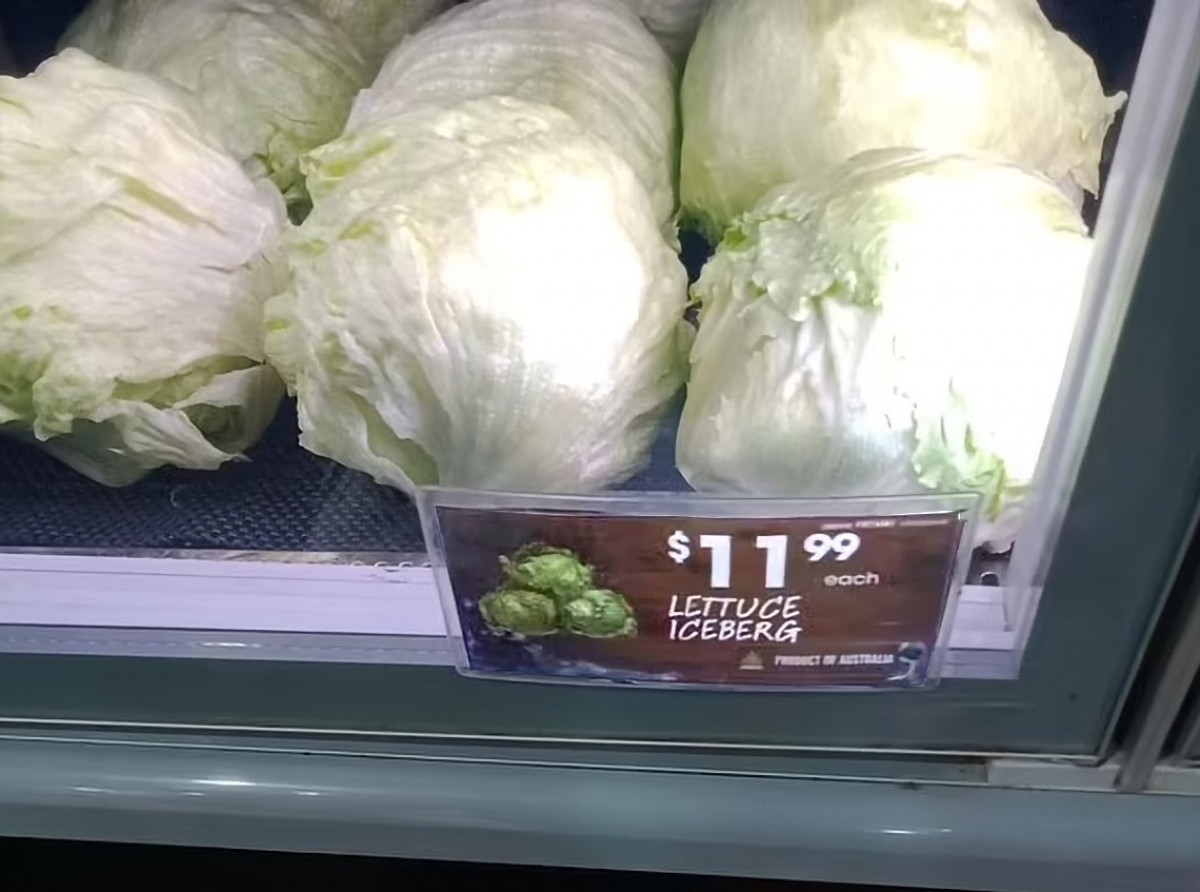 Prijs di lechuga Iceberg ta riba di 15 Florin pa uno na Australia