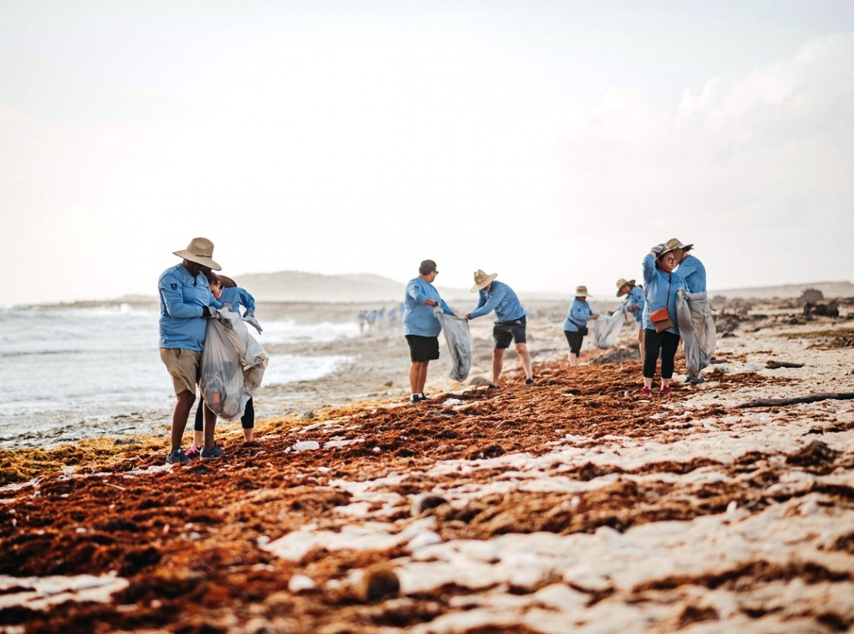 Bo Amigo CMB cu “Beach Clean Up” na nos costa nort