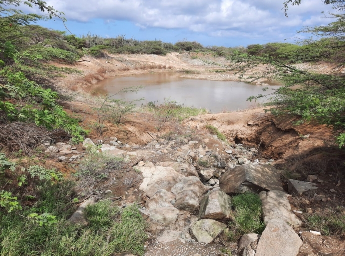 Aruba a registra solamente 38 mm di yobida riba Diaranson