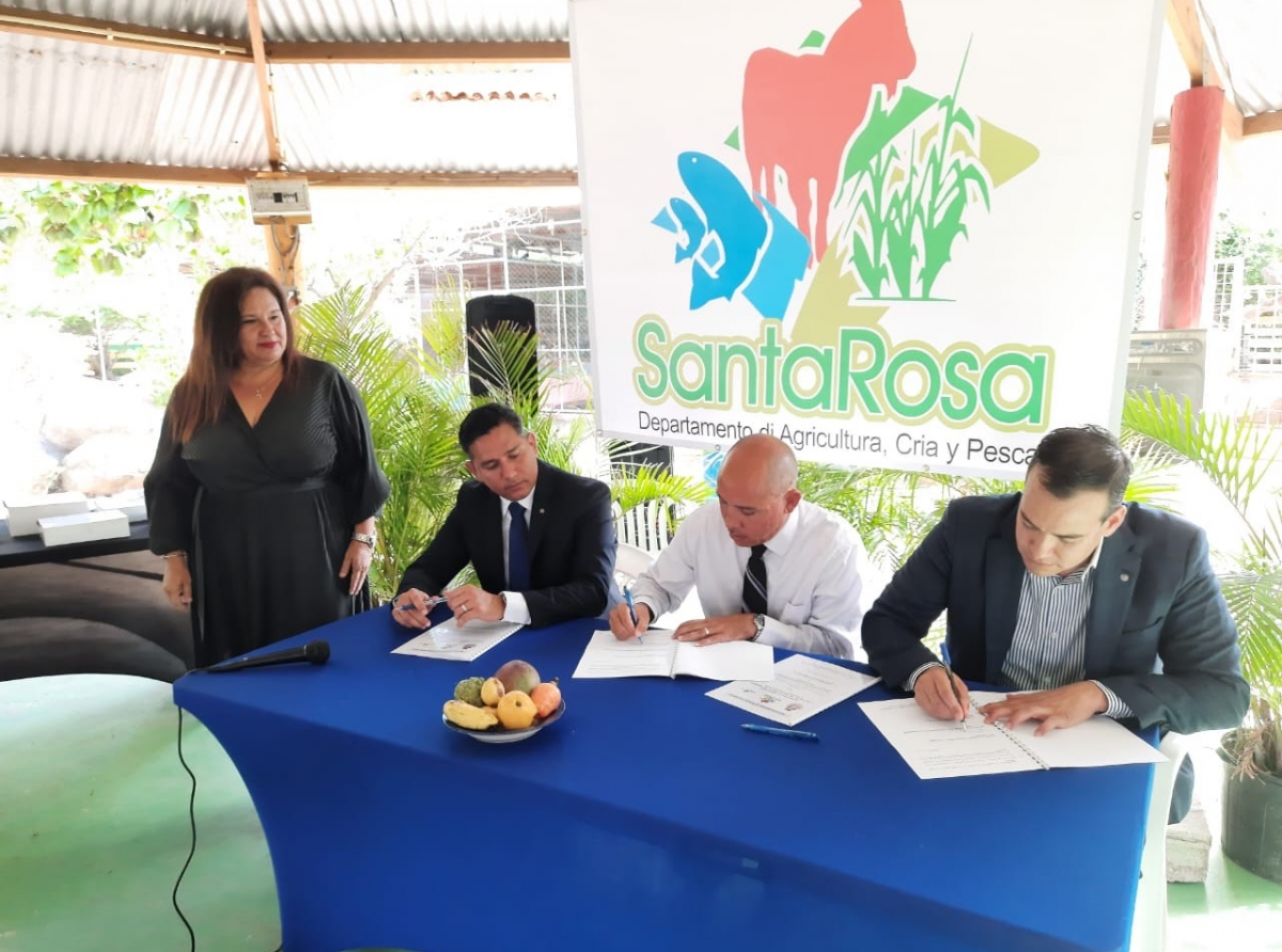    A firma un MoU entre Gobierno y United Farmers Aruba