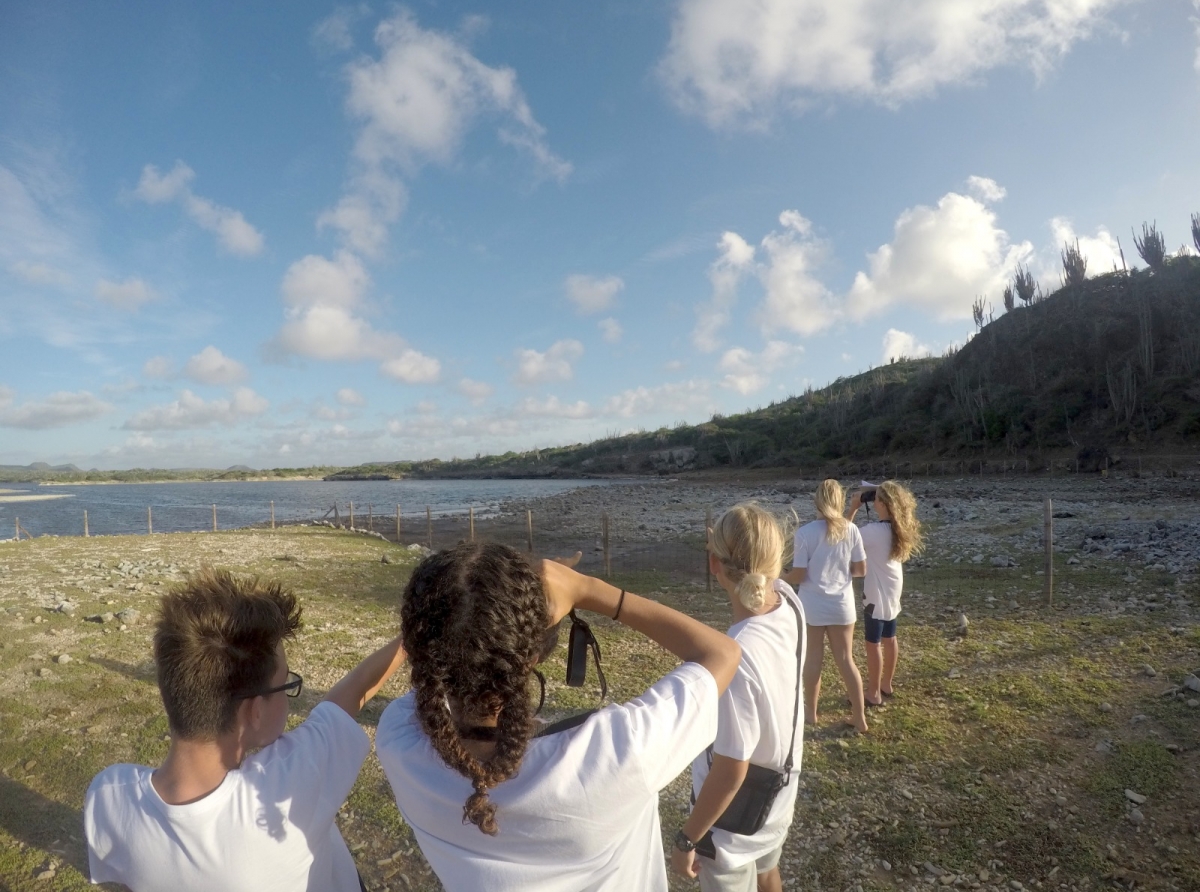 Intercambio pa Junior Ranger 2022 lo enfoca riba biodiversidad unico den Caribe Hulandes