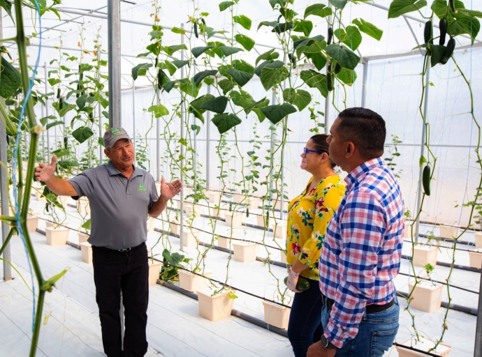 Ministro tambe ta di acuerdo pa bin cu certificacion pa berdura y fruta cultiva local