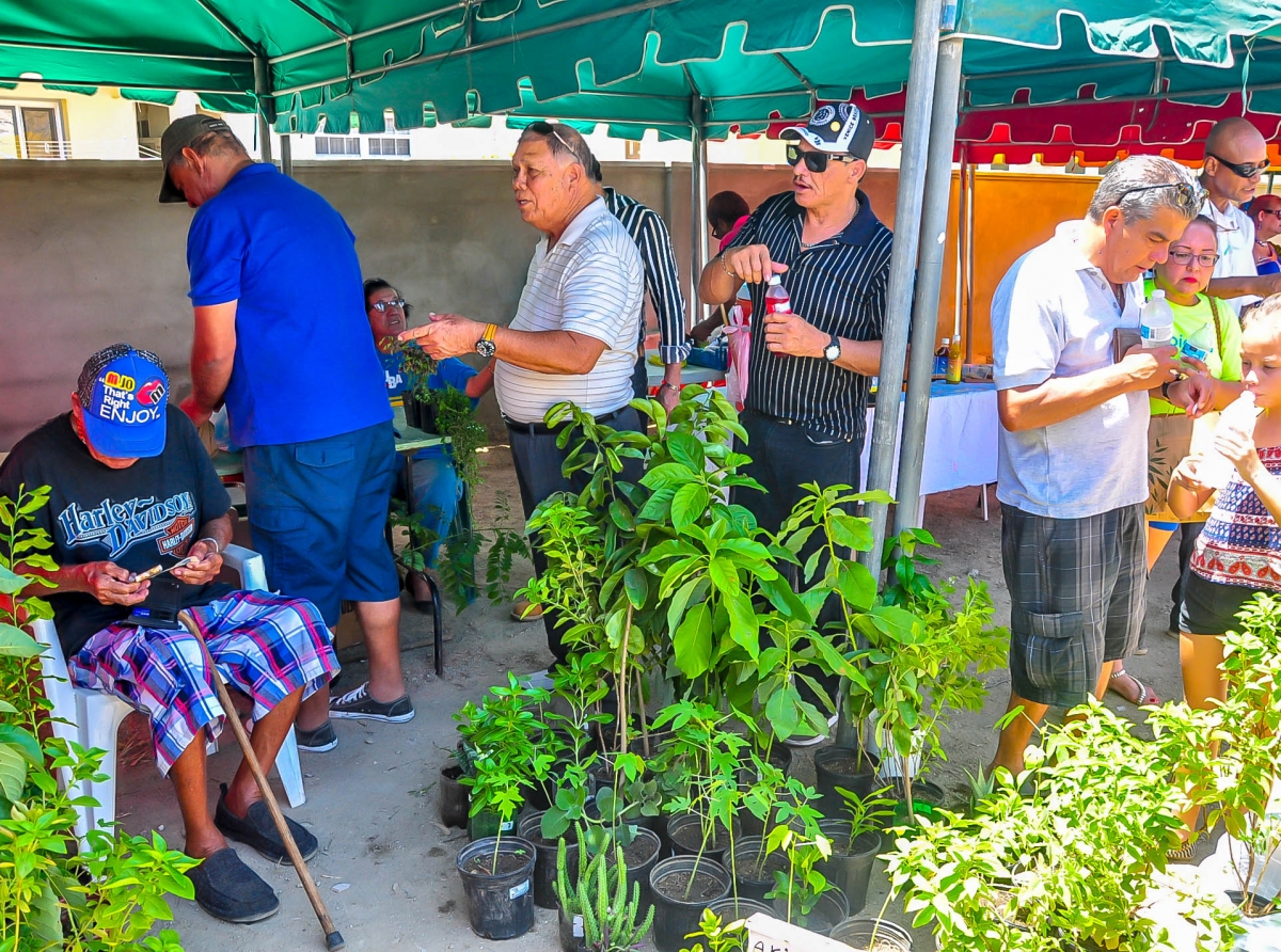 Mercado Santa Rosa lo ta diadomingo 25 di September