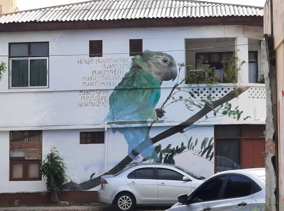 Ya caba artistanan ta pintando e muralnan nobo pa Artweek Aruba 2022