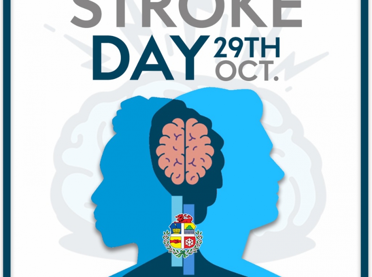 Awe ta Dia Mundial di Stroke