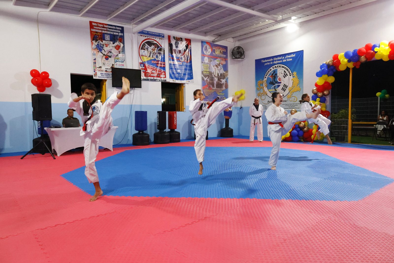 Tiger Taekwondo Academy a habri un sala nobo