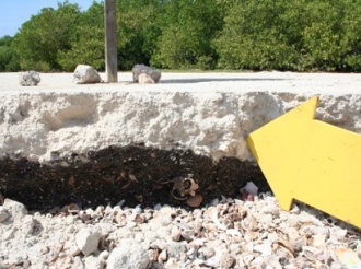 Museo Arquelogico Nacional Aruba a organiza tayer internacional cu expertonan di Caribe