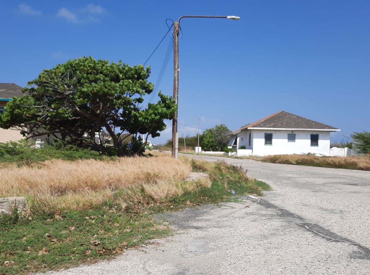 Ploegnan cu mester mantene Colony limpi pa hopi tempo no a drenta San Nicolas