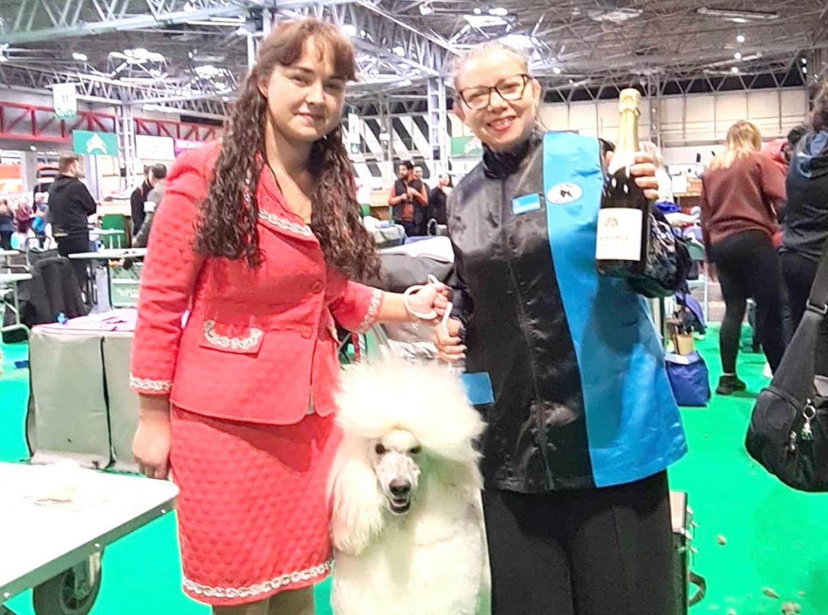 Master Groomer Clarice Holman a representa Aruba na Dog show 'Crufts' na Inglatera