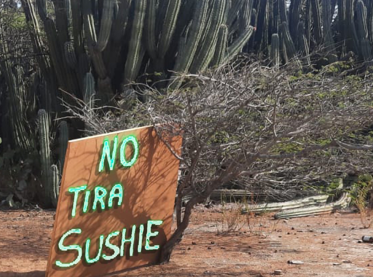 Habitante a pone borchi pa pidi hendenan stop di benta sushi den mondi