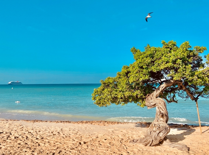 Vacation Rental Professionals Aruba contento cu sosten di gobierno