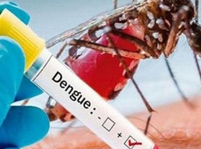 Departamento di Salud den alerta debi na aumento di casonan di Dengue den region Latino Americano