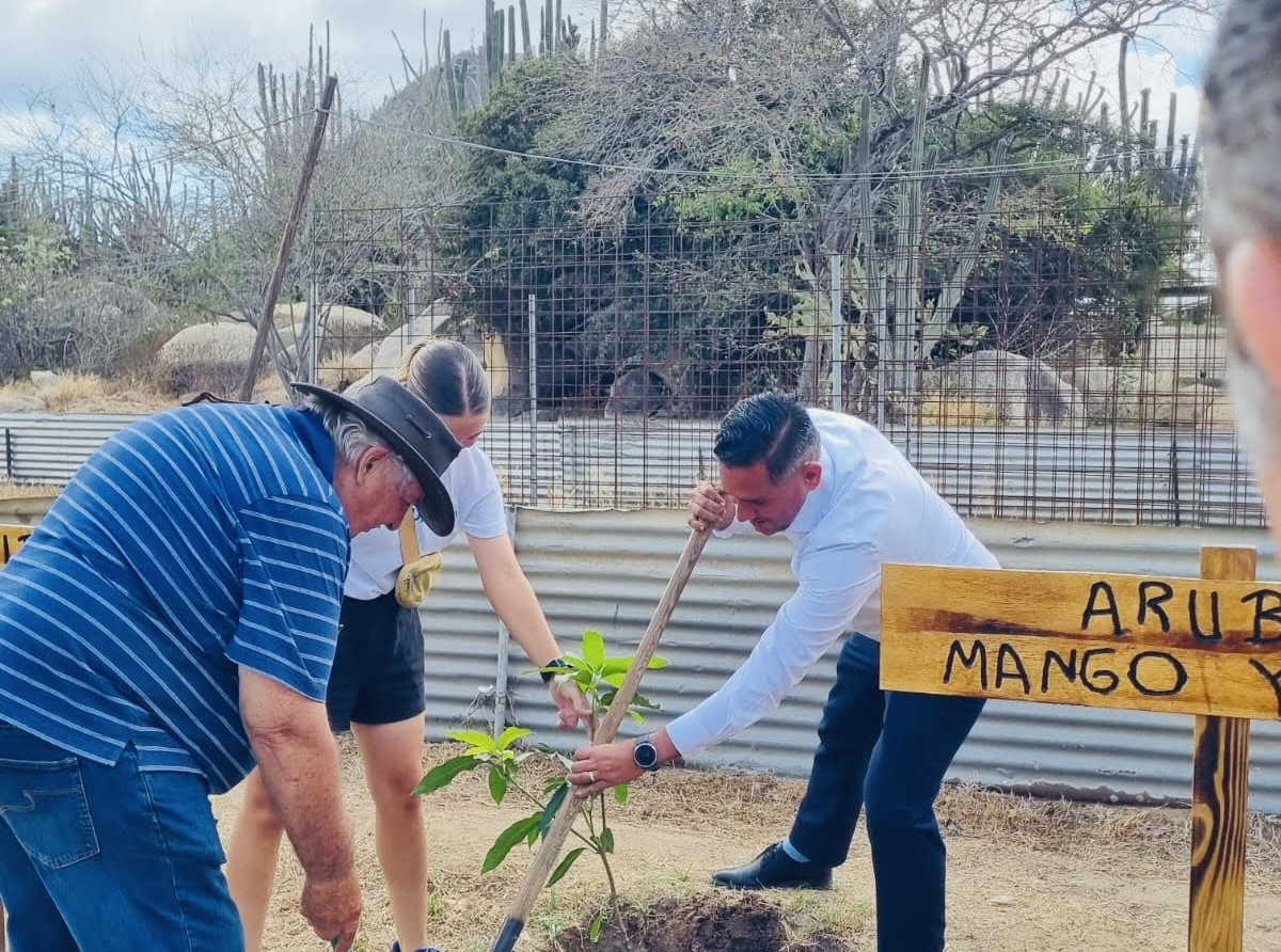 Cada isla invita a planta un mata di fruta of berdura den acto simbolico na Santa Rosa