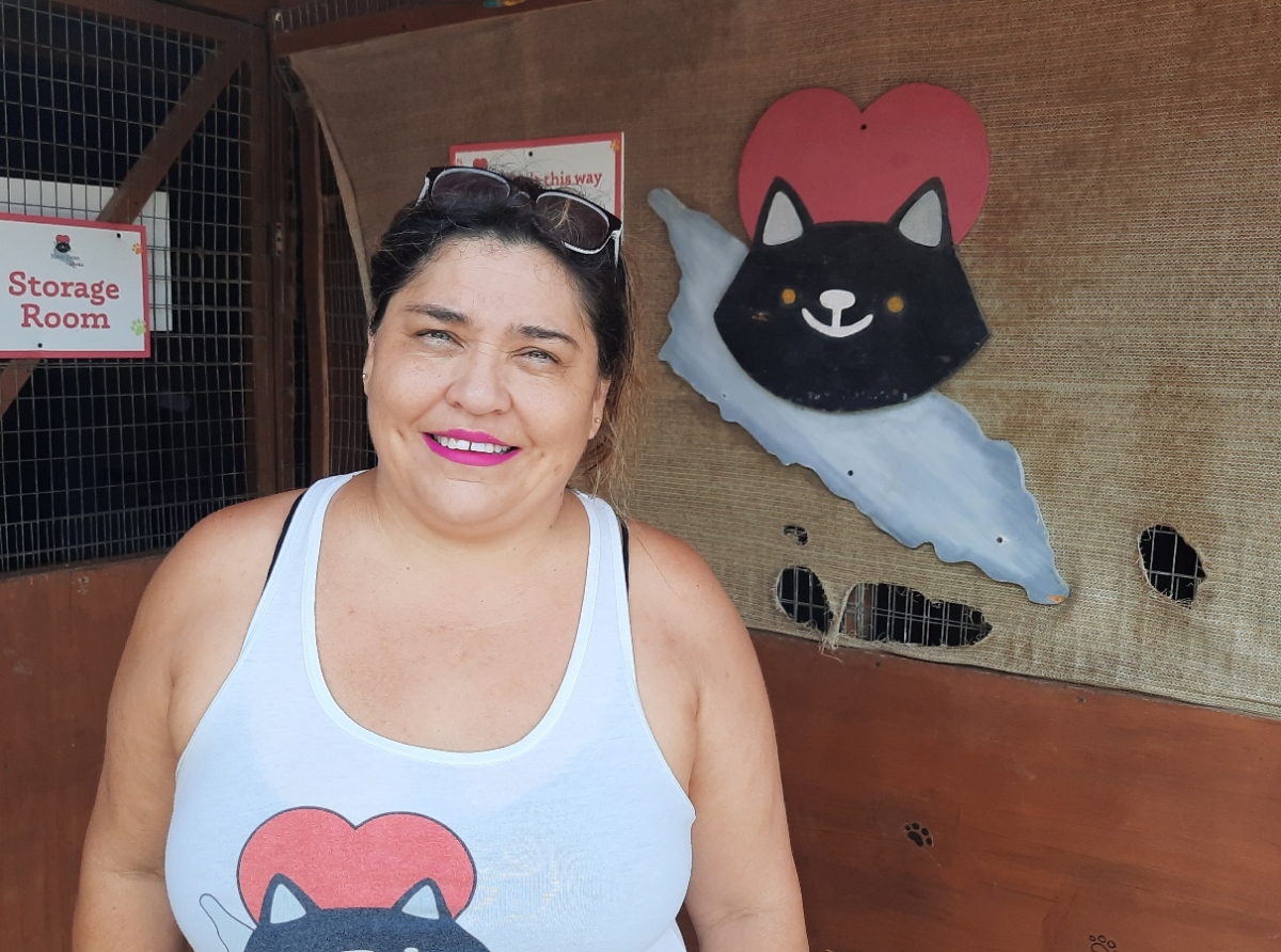 Fundacion “Nine Lives Aruba” cu un dia di adopcion di pushi, Diasabra 1 di Juli venidero