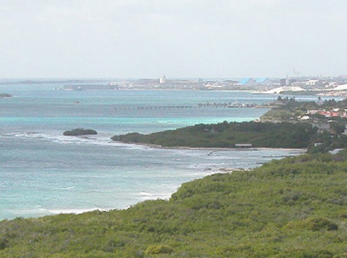 E rifnan na Aruba ta kibra e forza di e olanan cu ta yega Aruba y tambe ta habitat di pahra y pisca