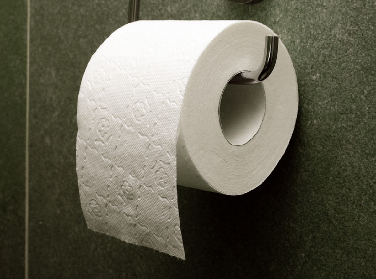 Ta pronostica cu papel toilet ta den serio peligro di extincion