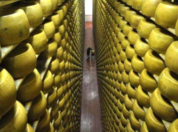 Empresario a muri aplasta door di 16.000 wiel di keshi Grana Padano