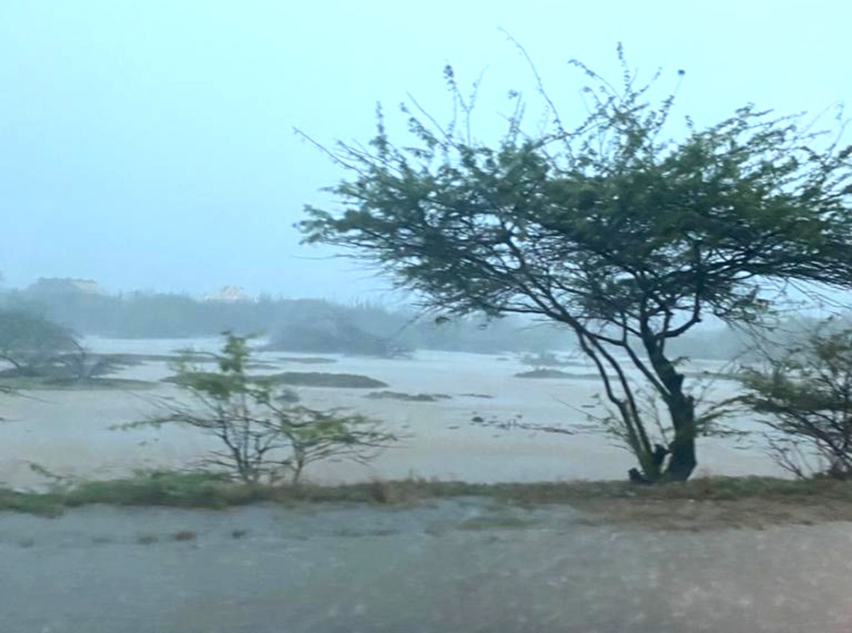 Humedad tabata asina halto na Noord y e tabata parce neblina