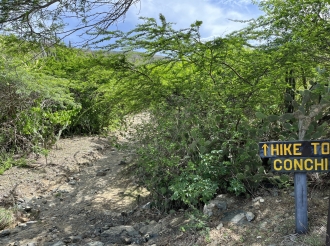 Dos turista Colombiano a dwaal den Parke Arikok