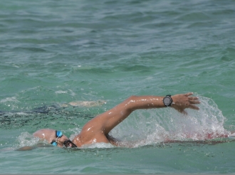 Aruba Dolphins Open Water ta organiza nan Open Water diadomingo awo