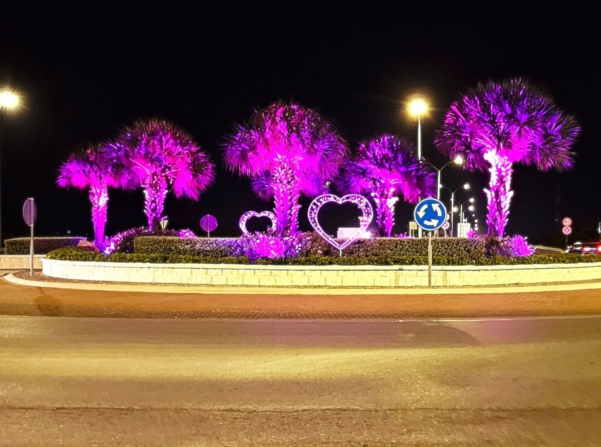 Rotonde di Kibaima ilumina na roos pa concientizacion di cancer di pecho